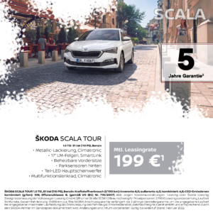 Angebote Skoda Tour2